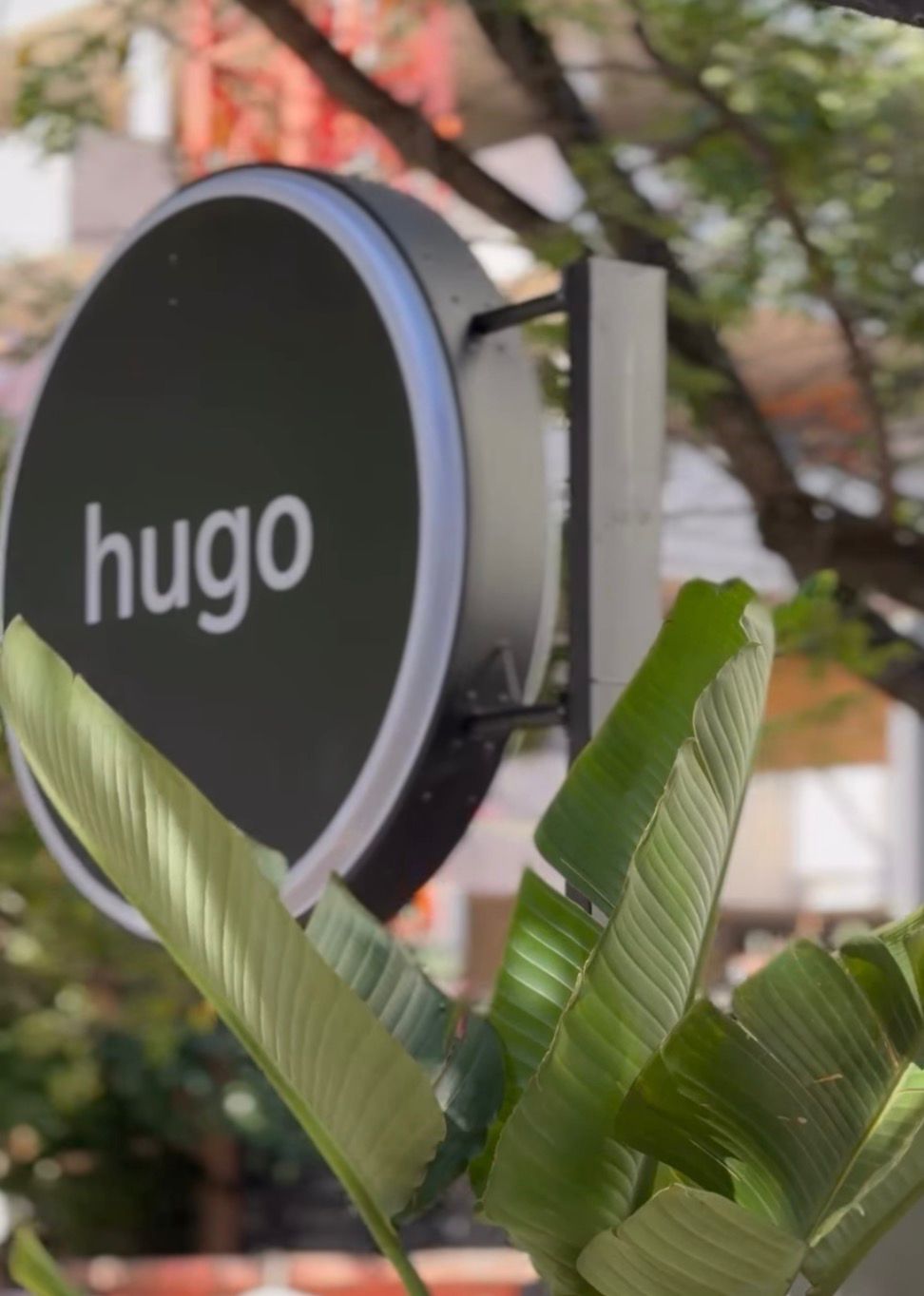 Logo Hugo al aire libre